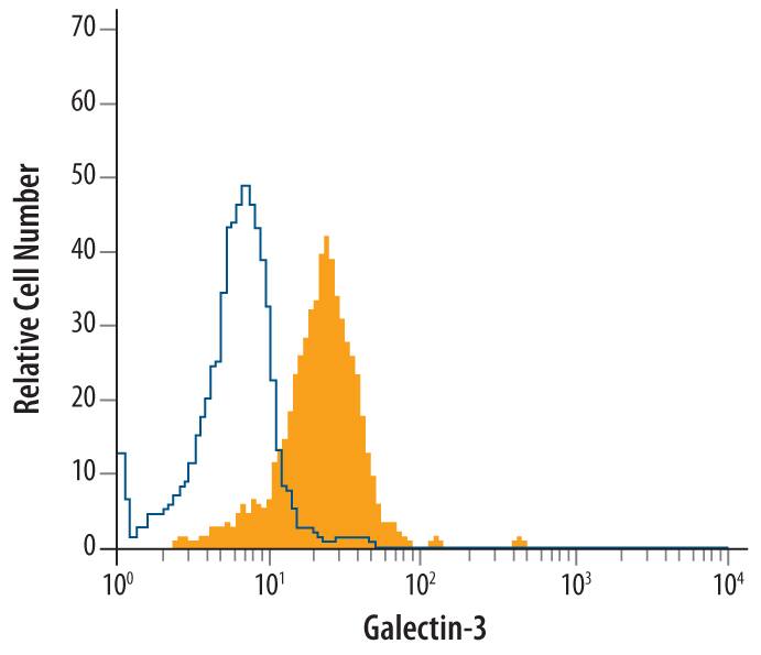 Human peripheral blood monocytes were stained with Mouse Anti-Human Galectin-3 Monoclonal Antibody (Catalog # MAB11542, filled histogram) or isotype control antibody (Catalog # MAB004, open histogram), followed by Phycoerythrin-conjugated Anti-Mouse IgG Secondary Antibody (Catalog # F0102B). To facilitate intracellular staining, cells were fixed with paraformaldehyde and permeabilized with saponin.