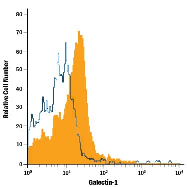 Mouse splenocytes were stained with Goat Anti-Mouse Galectin-1 PE-conjugated Antigen Affinity-purified Polyclonal Antibody (Catalog # IC1245P, filled histogram) or isotype control antibody (Catalog # IC108P, open histogram). To facilitate intracellular staining, cells were fixed with Flow Cytometry Fixation Buffer (Catalog # FC004) and permeabilized with Flow Cytometry Permeabilization/Wash Buffer I (Catalog # FC005). View our protocol for Staining Intracellular Molecules.