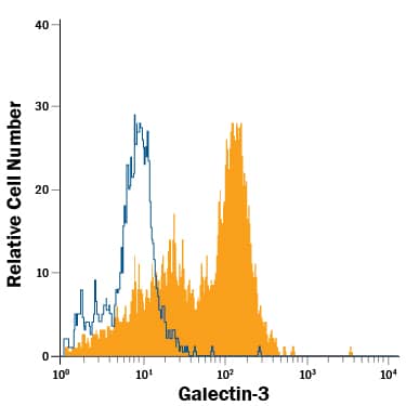LPS-treated peripheral blood monocytes were stained with Mouse Anti-Human Galectin-3 PE-conjugated Monoclonal Antibody (Catalog # IC11542P, filled histogram) or isotype control antibody (Catalog # IC0041P, open histogram). To facilitate intracellular staining, cells were fixed with Flow Cytometry Fixation Buffer (Catalog # FC004) and permeabilized with Flow Cytometry Permeabilization/Wash Buffer I (Catalog # FC005). View our protocol for Staining Intracellular Molecules.