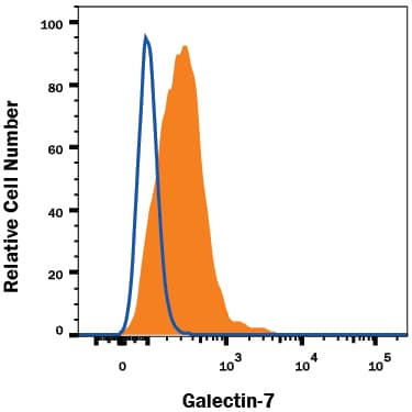 A431 human epithelial carcinoma cell line was stained with Mouse Anti-Human Galectin-7 Monoclonal Antibody (Catalog # MAB13392, filled histogram) or isotype control antibody (Catalog # MAB002, open histogram), followed by Allophycocyanin-conjugated Anti-Mouse IgG Secondary Antibody (Catalog # F0101B). To facilitate intracellular staining, cells were fixed with Flow Cytometry Fixation Buffer (Catalog # FC004) and permeabilized with Flow Cytometry Permeabilization/Wash Buffer I (Catalog # FC005). View our protocol for Staining Intracellular Molecules.