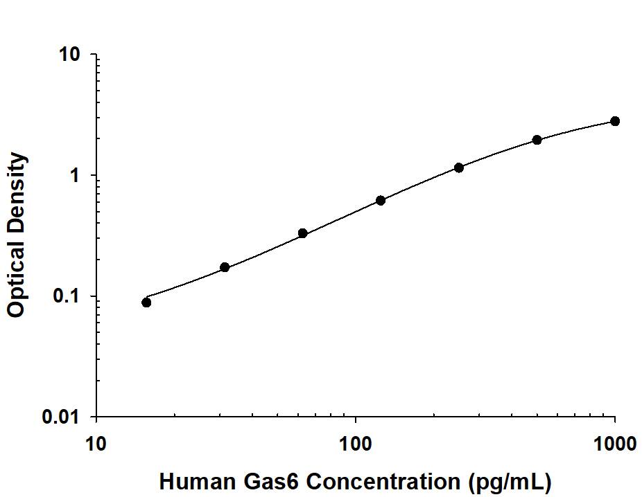 Recombinant Human Gas6 protein was serially diluted 2-fold and captured by Mouse Anti-Human Gas6 Monoclonal Antibody (Catalog # MAB8853) coated on a Clear Polystyrene Microplate (Catalog # DY990). Goat Anti-Human Gas6 Antigen Affinity-purified Polyclonal Antibody (Catalog # AF885) was biotinylated and incubated with the protein captured on the plate. Detection of the standard curve was achieved by incubating Streptavidin-HRP (Catalog # DY998) followed by Substrate Solution (Catalog # DY999) and stopping the enzymatic reaction with Stop Solution (Catalog # DY994).
