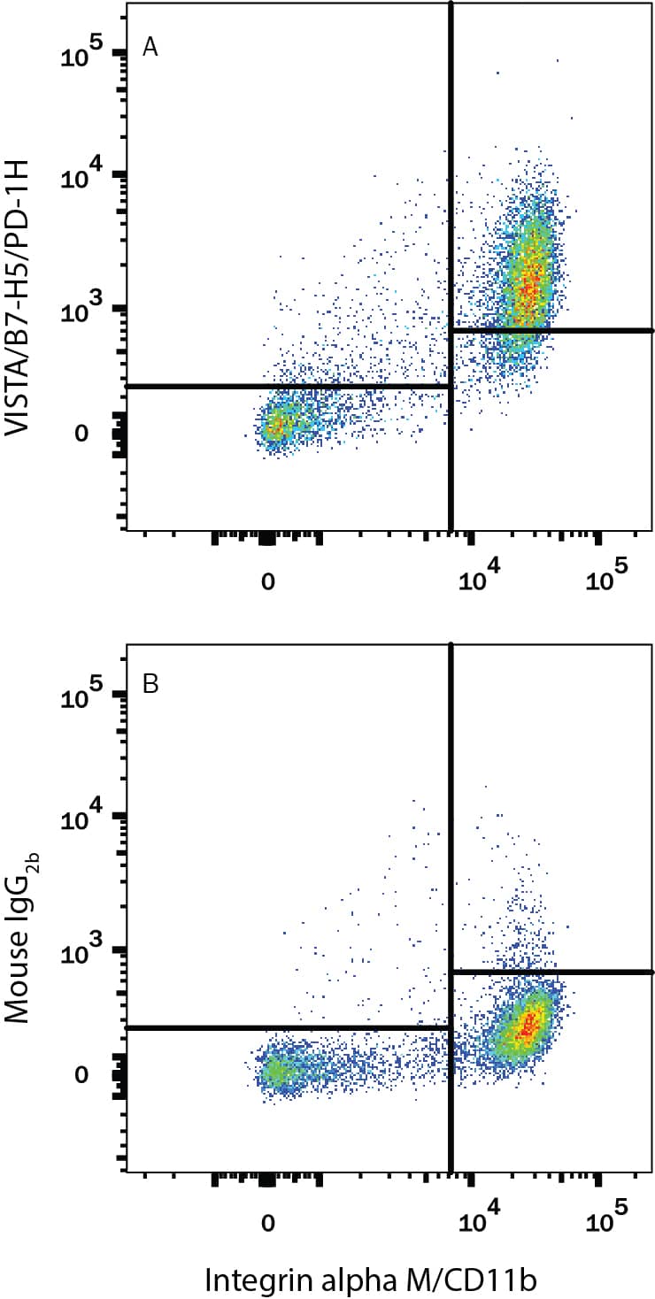 Human peripheral blood mononuclear cells (PBMCs) were stained with (A) Mouse Anti-Human VISTA/B7-H5/PD-1H Monoclonal Antibody (Catalog # MAB71261) or (B) Mouse IgG2BIsotype Control (Catalog # MAB0041) followed by Allophycocyanin-conjugated Anti-Mouse IgG Secondary Antibody (Catalog # F0101B) and Mouse Anti-Human Integrin aM/CD11b PE-conjugated Monoclonal Antibody (Catalog # FAB16991P). View our protocol for Staining Membrane-associated Proteins.