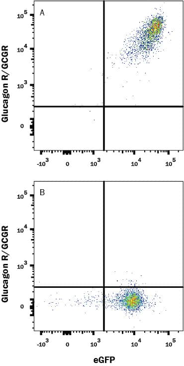 Flow Cytometry Glucagon R/GCGR Antibody (591929) [Unconjugated]