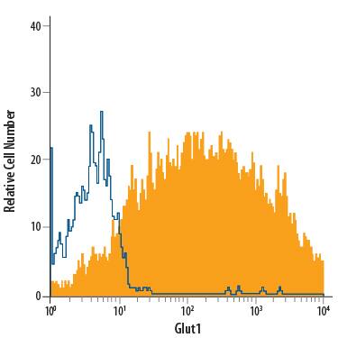 HepG2 human hepatocellular carcinoma cell line was stained with Mouse Anti-Human Glut1 APC-conjugated Monoclonal Antibody (Catalog # FAB1418A, filled histogram) or isotype control antibody (Catalog # IC0041A, open histogram). View our protocol for Staining Membrane-associated Proteins.