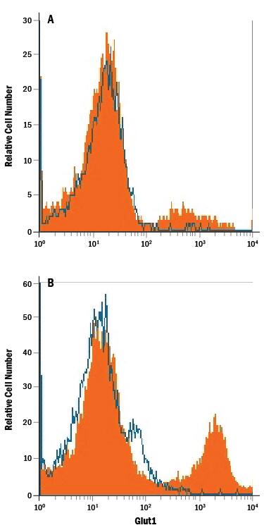Jurkat human acute T cell leukemia cell line either (A) untreated or (B) cultured in nutrient-depleted media was stained with Mouse Anti-Human Glut1 APC-conjugated Monoclonal Antibody (Catalog # FAB1418A, filled histogram) or isotype control antibody (Catalog # IC0041A, open histogram). View our protocol for Staining Membrane-associated Proteins.