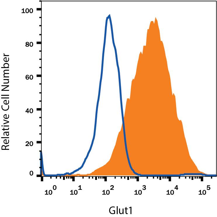 HepG2 human hepatocellular carcinoma cell line was stained with Mouse Anti-Human Glut1 Alexa Fluor® 700-conjugated Monoclonal Antibody (Catalog # FAB1418N, filled histogram) or isotype control antibody (Catalog # IC0041N, open histogram). View our protocol for Staining Membrane-associated Proteins.