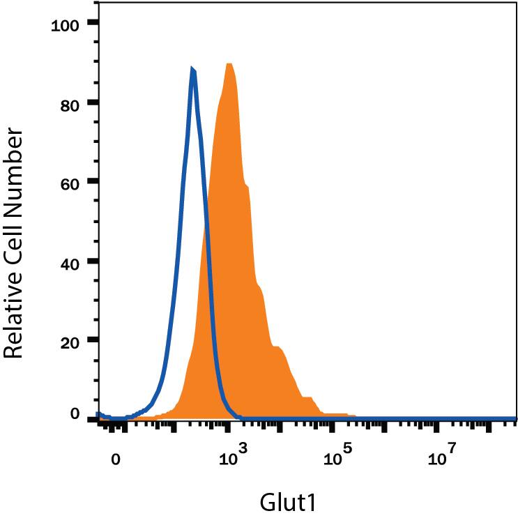 HepG2 human hepatocellular carcinoma cell line was stained with Mouse Anti-Human Glut1 PE-conjugated Monoclonal Antibody (Catalog # FAB1418P, filled histogram) or isotype control antibody (Catalog # IC0041P, open histogram). View our protocol for Staining Membrane-associated Proteins.