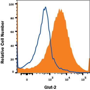  beta TC-6 mouse beta cell insulinoma cell line was stained with Rat Anti-Mouse Glut2 PE-conjugated Monoclonal Antibody (Catalog # FAB1440P, filled histogram) or isotype control antibody (Catalog # IC013P, open histogram). View our protocol for Staining Membrane-associated Proteins.