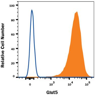 NS0 mouse myeloma cell line transfected with either human Glut5 (filled histogram) or irrelevant transfectants (open histogram) was stained with Mouse Anti-Human Glut5 Alexa Fluor® 647‑conjugated Monoclonal Antibody (Catalog # FAB1349R). View our protocol for Staining Membrane-associated Proteins.