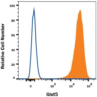 Flow Cytometry Glut5 Antibody (195205) [Unconjugated]