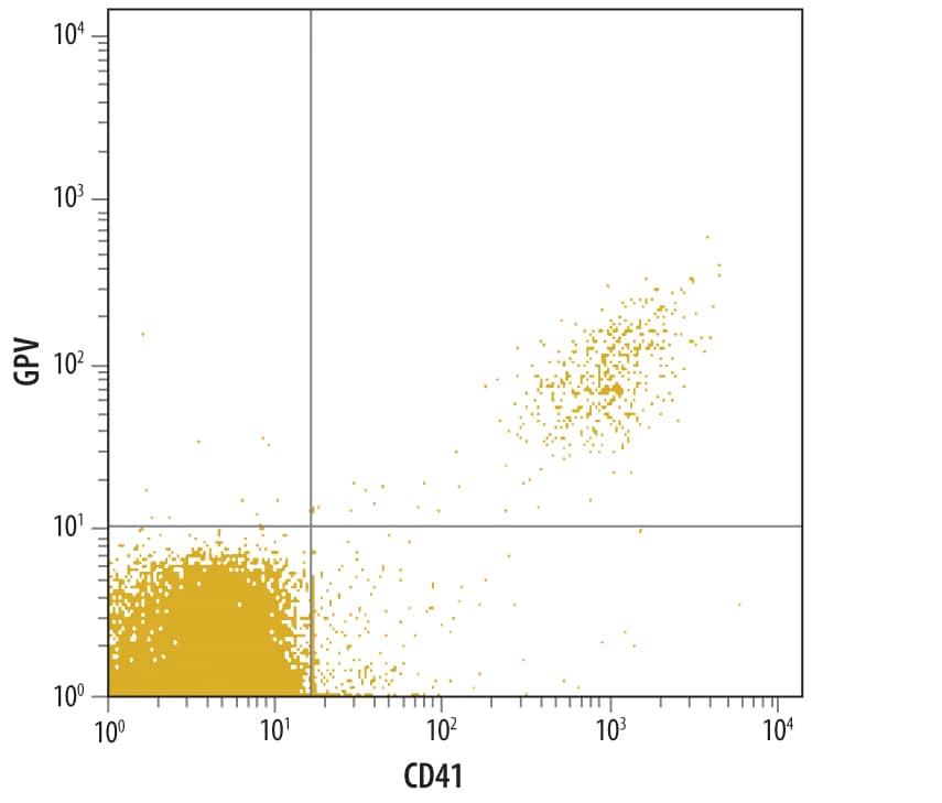 Human whole blood platelets were stained with Sheep Anti-Human GPV Polyclonal Antibody (Catalog # AF4249) followed by NL637-conjugated anti-sheep antibody (Catalog # NL011) and Human CD41 FITC-conjugated Monoclonal Antibody.Quadrant markers were set based on control antibody staining (Catalog # 5-001-A).
