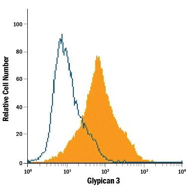 HepG2 human hepatocellular carcinoma cell line was stained with Mouse Anti-Human Glypican 3 Alexa Fluor® 488-conjugated Monoclonal Antibody (Catalog # FAB2119G, filled histogram) or isotype control antibody (Catalog # IC003G, open histogram). View our protocol for Staining Membrane-associated Proteins.