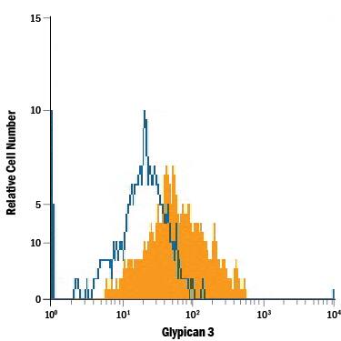 HepG2 human hepatocellular carcinoma cell line was stained with Mouse Anti-Human Glypican 3 Alexa Fluor® 700-conjugated Monoclonal Antibody (Catalog # FAB2119N, filled histogram) or isotype control antibody (Catalog # IC003N, open histogram). View our protocol for Staining Membrane-associated Proteins.