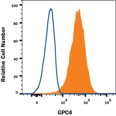 TF-1 human erythroleukemic cell line was stained with Mouse Anti-Human Glypican 4 Monoclonal Antibody (Catalog # MAB9195, filled histogram) or Mouse IgG1 Isotype Control (Catalog # MAB002, open histogram) followed by APC-conjugated Anti-Mouse IgG Secondary Antibody (Catalog # F0101B). View our protocol for Staining Membrane-associated Proteins.
