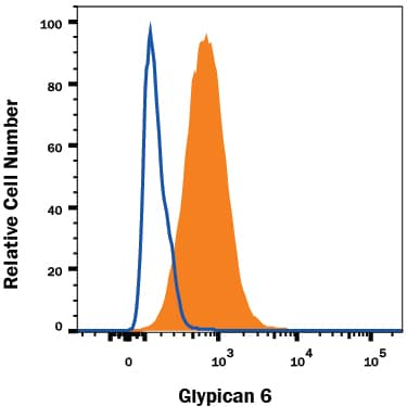 HepG2 human hepatocellular carcinoma cell line was stained with Mouse Anti-Human Glypican 6 Monoclonal Antibody (Catalog # MAB2845, filled histogram) or isotype control antibody (Catalog # MAB002, open histogram), followed by Allophycocyanin-conjugated Anti-Mouse IgG Secondary Antibody (Catalog # F0101B). To facilitate intracellular staining, cells were fixed with Flow Cytometry Fixation Buffer (Catalog # FC004) and permeabilized with Flow Cytometry Permeabilization/Wash Buffer I (Catalog # FC005). View our protocol for Staining Intracellular Molecules.
