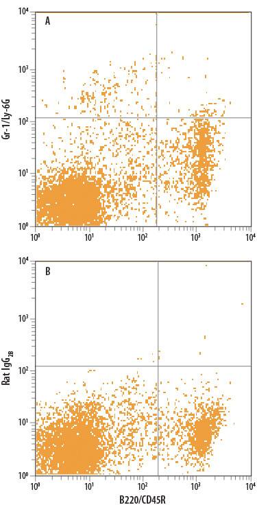 Mouse splenocytes were stained with Rat Anti-Mouse B220/CD45R APC-conjugated Monoclonal Antibody (Catalog # FAB1217A) and either (A) Rat Anti-Mouse Gr-1/Ly-6G Fluorescein-conjugated Monoclonal Antibody (Catalog # FAB1037F) or (B) Rat IgG2BFluorescein Isotype Control (Catalog # IC013F). View our protocol for Staining Membrane-associated Proteins.
