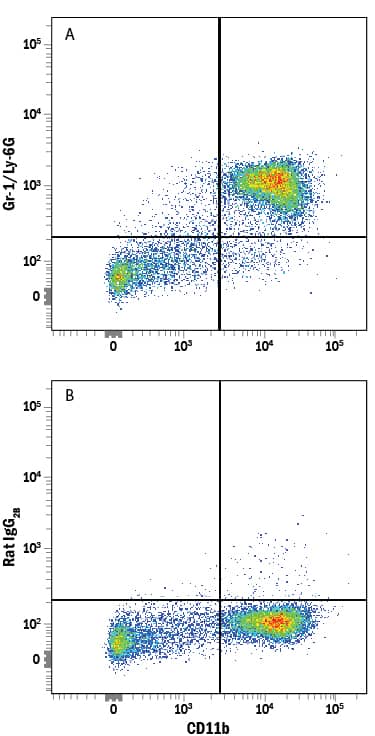 Mouse bone marrow cells were stained with Rat Anti-Mouse Integrin aM/CD11b APC-conjugated Monoclonal Antibody (Catalog # FAB1124A) and either (A) Rat Anti-Mouse Gr-1/Ly-6G Alexa Fluor® 405-conjugated Monoclonal Antibody (Catalog # FAB1037V) or (B) Rat IgG2BAlexa Fluor 405 Isotype Control (Catalog # IC013V). View our protocol for Staining Membrane-associated Proteins.