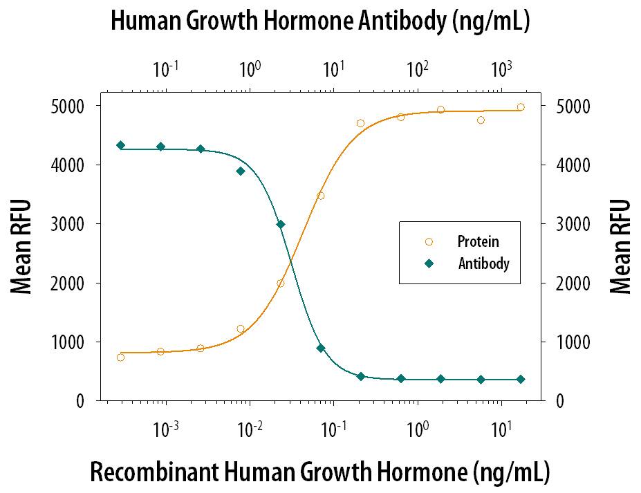Recombinant Human Growth Hormone (Catalog # 1067-GH) stimulates proliferation in the Nb2-11 rat lymphoma cell line in a dose-dependent manner (orange line). Proliferation elicited by Recombinant Human Growth Hormone (0.2 ng/mL) is neutralized (green line) by increasing concentrations of Goat Anti-Human/Mouse/Rat Growth Hormone Antigen Affinity-purified Polyclonal Antibody (Catalog # AF1067). The ND50 is typically 1.5-7.5 ng/mL.