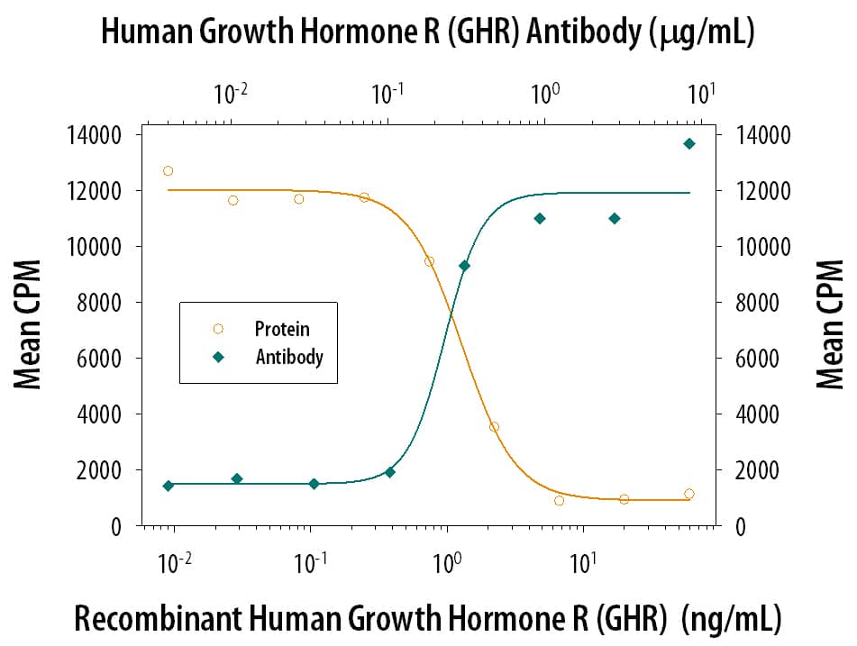 Recombinant Human Growth Hormone R/GHR Fc Chimera (Catalog # 1210-GR) inhibits Recombinant Human Growth Hormone (Catalog # 1067-GH) induced proliferation in the Nb2-11 rat lymphoma cell line in a dose-dependent manner (orange line). Inhibition of Recombinant Human Growth Hormone (0.2 ng/mL) activity elicited by Recombinant Human Growth Hormone R/GHR Fc Chimera (10 ng/mL) is neutralized (green line) by increasing concentrations of Goat Anti-Human Growth Hormone R/GHR Antigen Affinity-purified Polyclonal Antibody (Catalog # AF1210). The ND50 is typically 0.125-0.5 µg/mL.