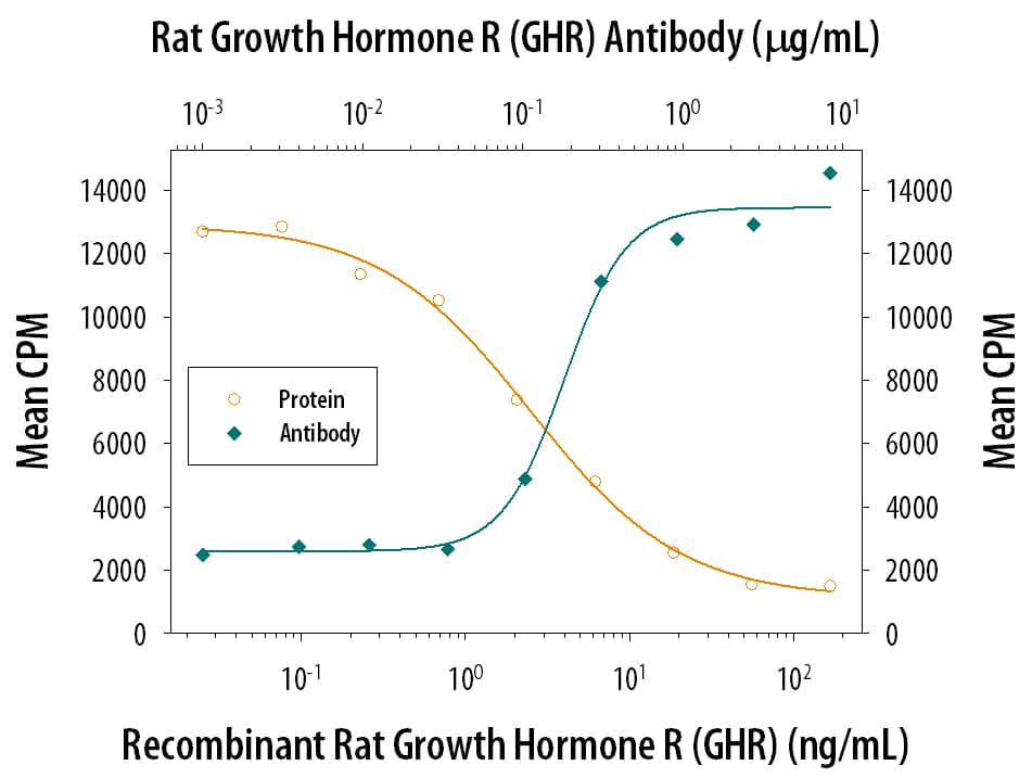 Recombinant Rat Growth Hormone R/GHR Fc Chimera (Catalog # 1211-GR) inhibits Recombinant Human Growth Hormone (Catalog # 1067-GH) induced proliferation in the Nb2-11 rat lymphoma cell line in a dose-dependent manner (orange line). Inhibition of Recombinant Human Growth Hormone (0.2 ng/mL) activity elicited by Recombinant Rat Growth Hormone R/GHR Fc Chimera (10 ng/mL) is neutralized (green line) by increasing concen-trations of Goat Anti-Rat Growth Hormone R/GHR Antigen Affinity-purified Polyclonal Antibody (Catalog # AF1211). The ND50 is typically 0.075-0.3 µg/mL.