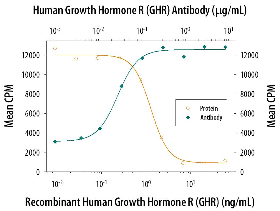 Recombinant Human Growth Hormone R/ GHR Fc Chimera (Catalog # 1210-GR) inhibits Recom-binant Human Growth Hormone (Catalog # 1067-GH) induced pro-liferation in the Nb2-11 rat lymphoma cell line in a dose-dependent manner (orange line). Inhibition of Recom-binant Human Growth Hormone (0.2 ng/mL) activity elicited by Recom-binant Human Growth Hormone R/ GHR Fc Chimera (10 ng/mL) is neutralized (green line) by increasing concentrations of Mouse Anti-Human Growth Hormone R/GHR Monoclonal Antibody (Catalog # MAB1210). The ND50 is typically 0.025-0.1 µg/mL.