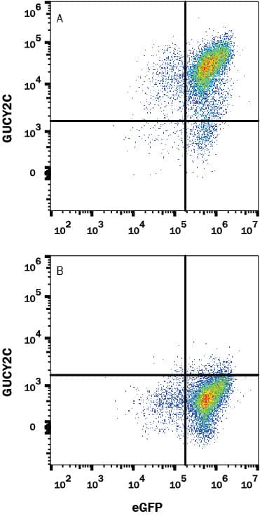 Flow Cytometry GUCY2C Antibody (2543C) [Unconjugated]