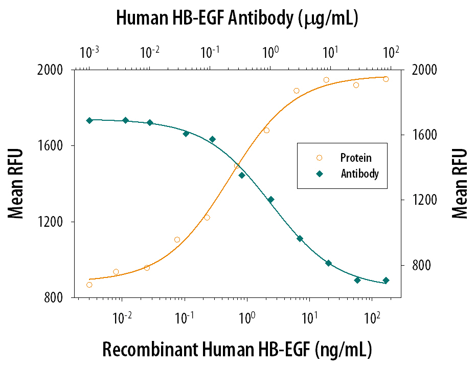 Recombinant Human HB‑EGF (Catalog # 259-HE) stimulates proliferation in the Balb/3T3 mouse embryonic fibroblast cell line in a dose-dependent manner (orange line). Proliferation elicited by Recombinant Human HB‑EGF (5 ng/mL) is neutralized (green line) by increasing concentrations of Human HB-EGF Monoclonal Antibody (Catalog # MAB2591). The ND50 is typically 0.5-2.5 µg/mL.