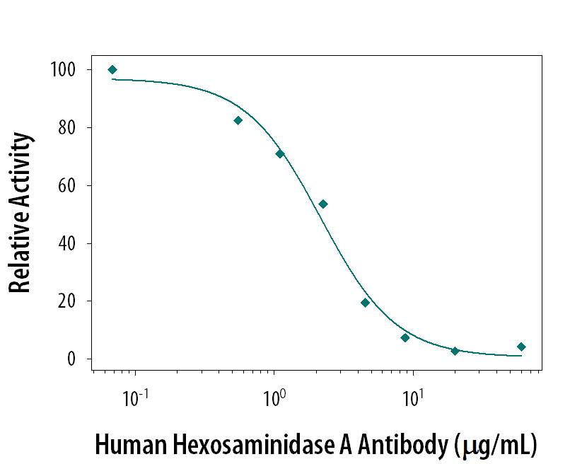 The cleavage of 4-Methylumbelliferyl-N-Acetyl-beta -D-glucosaminide (400 µM) by Human Hexosaminidase A (2.0 µg/mL, 6237-GH) is measured after it has been preincubated with increasing concentrations of Mouse Anti-Human Hexosaminidase A Monoclonal Antibody (Catalog # MAB62371). The ND50 is typically 3.0 µg/mL.