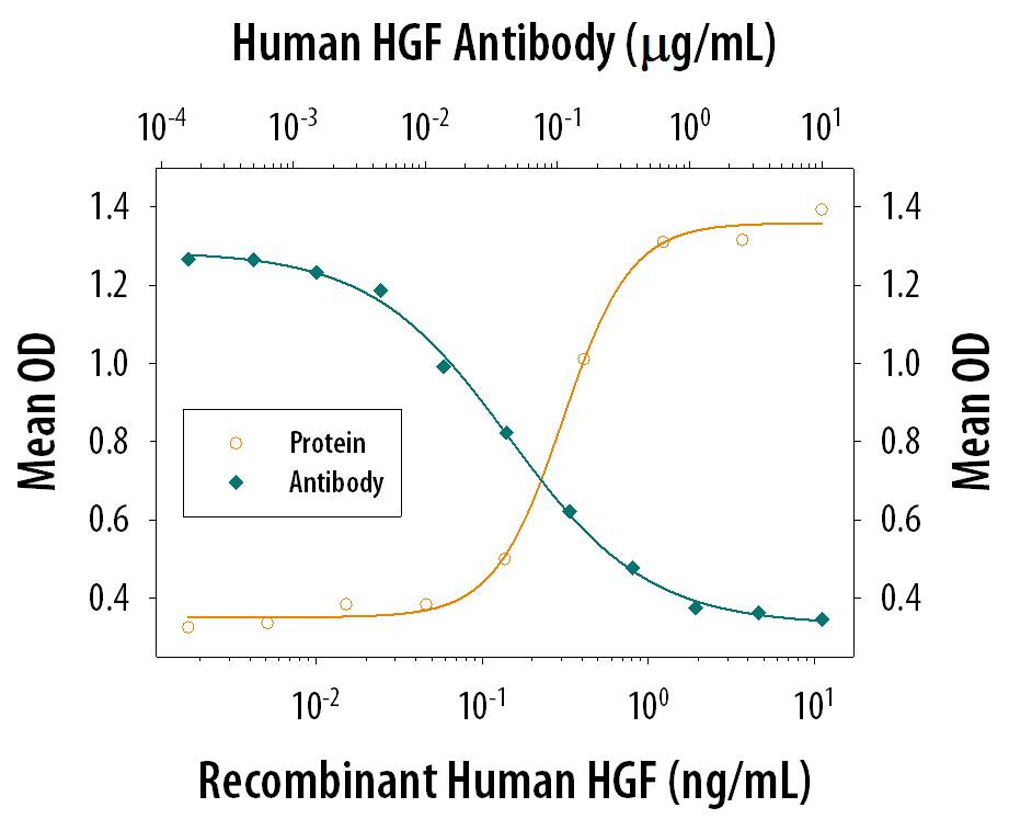 Neutralization HGF Antibody [Unconjugated]