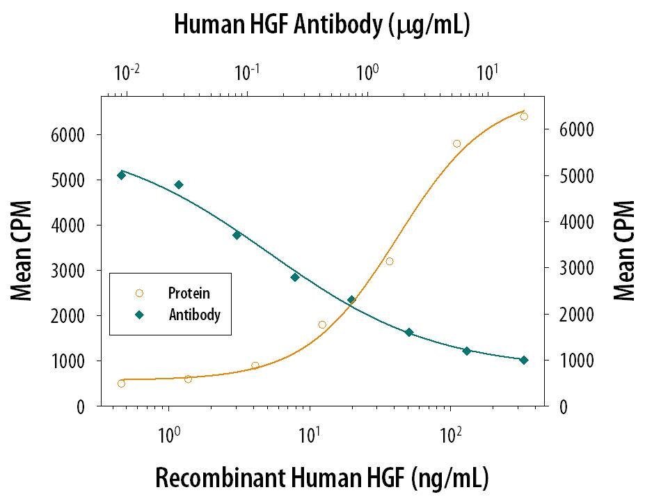 Neutralization HGF Antibody (24612) [Unconjugated]