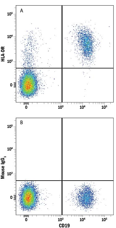 Human peripheral blood mononuclear cells (PBMCs) were stained with Mouse Anti-Human CD19 PE-conjugated Monoclonal Antibody (Catalog # FAB4867P) and either (A) Mouse Anti-Human HLA-DR Alexa Fluor® 750-conjugated Monoclonal Antibody (Catalog # FAB4869S) or (B) Mouse IgG1Alexa Fluor 750 Isotype Control (Catalog # IC002S). View our protocol for Staining Membrane-associated Proteins.