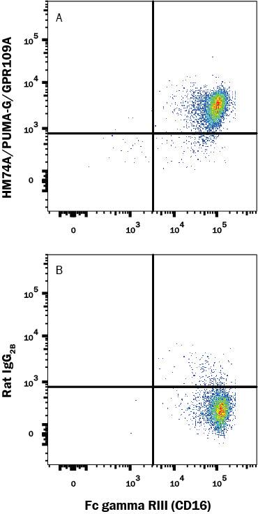 Flow Cytometry HM74A/PUMA-G/GPR109A/NIACR1 Antibody (245106) [Unconjugated]