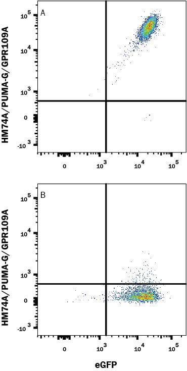 Flow Cytometry HM74A/PUMA-G/GPR109A/NIACR1 Antibody (245106) [Unconjugated]