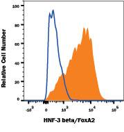 Human iPS cells differentiated to Mesoderm (Catalog # SC030B) were stained with Rabbit Anti-Human/Mouse/Rat HNF-3 beta/FoxA2 Monoclonal Antibody (Catalog # MAB2400, filled histogram) or Normal Rabbit IgG Control (Catalog # MAB1050, open histogram) followed by Phycoerythrin-conjugated Anti-Rabbit IgG Secondary Antibody (Catalog # F0110). To facilitate intracellular staining, cells were fixed and permeabilized with FlowX FoxP3 Fixation & Permeabilization Buffer Kit (Catalog # FC012).