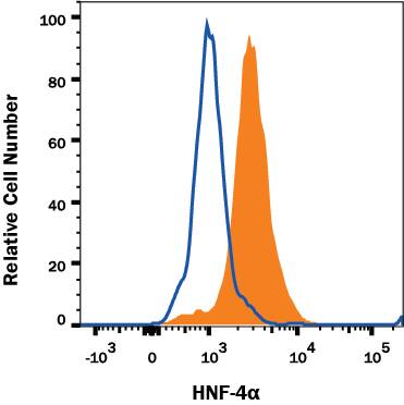 BG01V human embryonic stem cell line differentiated to endodermal cells (StemXVivo Endoderm Kit, Catalog # SC019B) was stained with Mouse Anti-Human HNF-4 alpha/NR2A1 Monoclonal Antibody (Catalog # MAB4605, filled histogram or isotype control antibody (Catalog # MAB0041, open histogram) followed by PE-conjugated Anti-Mouse IgG Secondary Antibody (Catalog # F0102B). To facilitate intracellular staining, cells were fixed and permeabilized with FlowX FoxP3/Transcription Factor Fixation & Permeabilization Buffer Kit (Catalog # FC012). View our protocol for Staining Intracellular Molecules.