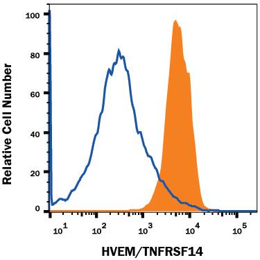 CHO Chinese hamster ovary cell line transfected with mouse HVEM was stained with Rabbit Anti-Mouse HVEM/TNFRSF14 Monoclonal Antibody (Catalog # MAB2516, filled histogram) or isotype control antibody (Catalog # AB-105-C, open histogram), followed by Phycoerythrin-conjugated Anti-Rabbit IgG Secondary Antibody (Catalog # F0110). View our protocol for Staining Membrane-associated Proteins.