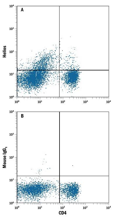 Human peripheral blood mononuclear cells (PBMCs) were stained with Mouse Anti-Human CD4 APC-conjugated Monoclonal Antibody (Catalog # FAB3791A) and either (A) Mouse Anti-Human Helios Monoclonal Antibody (Catalog # MAB73092) or (B) Mouse IgG1Isotype Control (Catalog # MAB002) followed by Phycoerythrin-conjugated Anti-Mouse IgG Secondary Antibody (Catalog # F0102B). To facilitate intracellular staining, cells were fixed with paraformaldehyde and permeabilized with saponin.