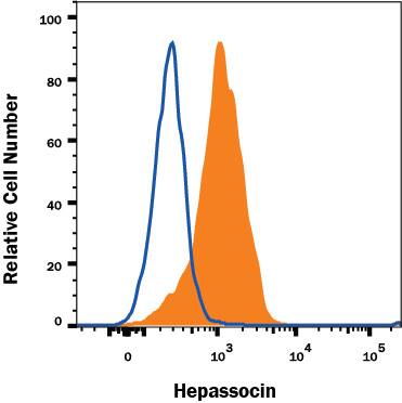 HepG2 human hepatocellular carcinoma cell line was stained with Goat Anti-Human/Mouse/Rat Hepassocin/FGL1 Antigen Affinity-Purified Polyclonal Antibody (Catalog # AF1614, filled histogram) or control antibody (Catalog # AB-108-C, open histogram), followed by Allophycocyanin-conjugated Anti-Goat IgG Secondary Antibody (Catalog # F0108). View our protocol for Staining Intracellular Molecules.