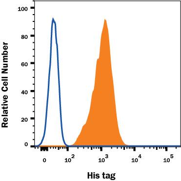 HEK293 human embryonic kidney cell line transfected with His-tagged protein was stained with Mouse Anti-His Tag Alexa Fluor® 488-conjugated Mono-clonal Antibody (Catalog # IC0501G, filled histogram) or isotype control antibody (Catalog # IC002G, open histogram). To facilitate intracellular staining, cells were fixed with Flow Cytometry Fixation Buffer (Catalog # FC004) and permeabilized with Flow Cytometry Permeabilization/Wash Buffer I (Catalog # FC005). View our protocol for Staining Intracellular Molecules.