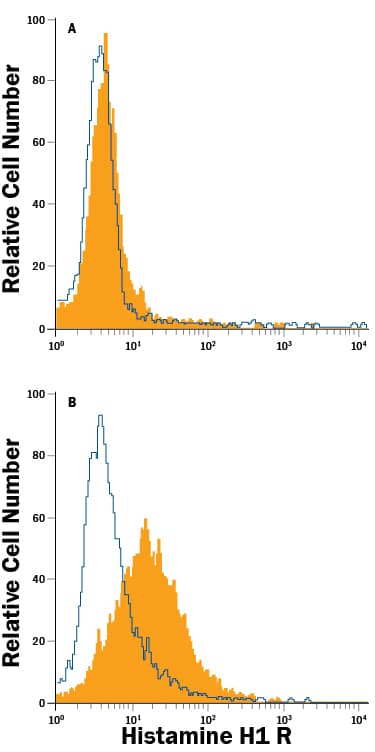 U937 human histiocytic lymphoma cell line, resting (A) or (B) activated with PMA, was stained with Mouse Anti-Human Histamine H1 R PE-conjugated Monoclonal Antibody (Catalog # FAB4726P, filled histograms) or isotype control antibody (Catalog # IC002P, open histograms). View our protocol for Staining Membrane-associated Proteins.