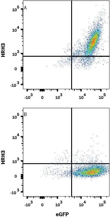 HEK293 human embryonic kidney cell line transfected with (A) Histamine H3 R or (B) irrelevant protein, and eGFP were stained with Mouse Anti-Human Histamine H3 R Monoclonal Antibody (Catalog # MAB10200) followed by Allophycocyanin-conjugated Anti-Mouse IgG Secondary Antibody (Catalog # F0101B). Quadrant markers were set based Mouse IgG2B Isotype Control Antibody staining (Catalog # MAB0041, data not shown). View our protocol for Staining Membrane-associated Proteins.