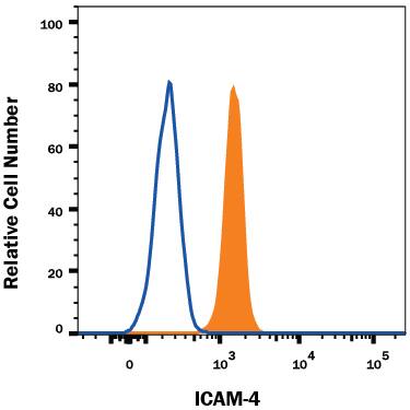 Human red blood cells were stained with Mouse Anti-Human ICAM-4 Alexa Fluor® 488-conjugated Monoclonal Antibody (Catalog # FAB8397G, filled histogram) or isotype control antibody (IC0041G, open histogram). View our protocol for Staining Membrane-associated Proteins.
