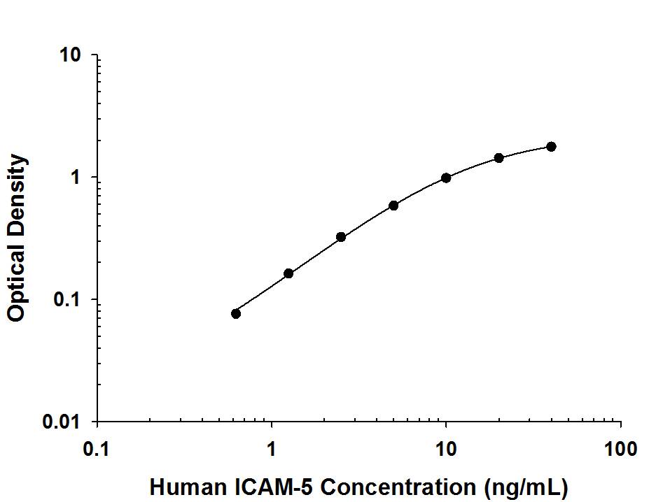 Recombinant Human ICAM-5 protein (Catalog # 1950-M5) was serially diluted 2-fold and captured by Mouse Anti-Human ICAM-5 Monoclonal Antibody (Catalog # MAB1950) coated on a Clear Polystyrene Microplate (Catalog # DY990). Goat Anti-Human ICAM-5 Biotinylated Antigen Affinity-purified Polyclonal Antibody (Catalog # BAF1950) was biotinylated and incubated with the protein captured on the plate. Detection of the standard curve was achieved by incubating Streptavidin-HRP (Catalog # DY998) followed by Substrate Solution (Catalog # DY999) and stopping the enzymatic reaction with Stop Solution (Catalog # DY994).