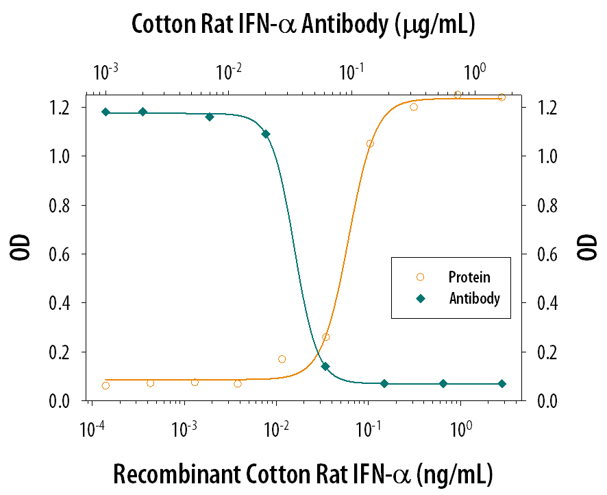 Recombinant Cotton Rat IFN-a (Cys109Tyr) (Catalog # 1082-CR) reduces the Encephalomyocarditis Virus (EMCV)-induced cytopathy in the LCRT cotton rat fibrosarcoma cell line in a dose-dependent manner (orange line), as measured by crystal violet staining. Inhibition of EMCV activity elicited by Recombinant Cotton Rat IFN-a (Cys109Tyr) (0.2 ng/mL) is neutralized (green line) by increasing concentrations of Goat Anti-Cotton Rat IFN-a Antigen Affinity-purified Polyclonal Antibody (Catalog # AF1082). The ND50 is typically 0.015-0.065 µg/mL.