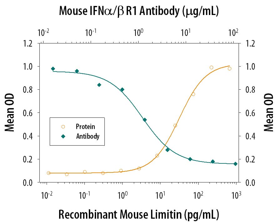 Neutralization IFN-alpha/beta R1 Antibody