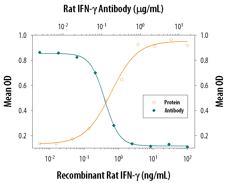 Recombinant Rat IFN-gamma  (Catalog # 585-IF) reduces the Encephalomyocarditis Virus (EMCV)-induced cytopathy in the L-929 mouse fibroblast cell line in a dose-dependent manner (orange line), as measured by crystal violet staining. Inhibition of EMCV activity elicited by Recombinant Rat IFN-gamma  (2.5 ng/mL) is neutralized (green line) by increasing concentrations of Goat Anti-Rat IFN-gamma  Antigen Affinity-purified Polyclonal Antibody (Catalog # AF-585-NA). The ND50 is typically 0.08-0.2 µg/mL.