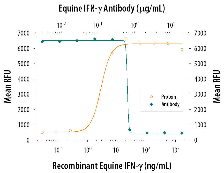 Recombinant Equine IFN-gamma (Catalog # 1586-HG) reduces the Encephalomyocarditis Virus (EMCV)-induced cytopathy in the L-929 mouse fibroblast cell line in a dose-dependent manner (orange line), as measured by Resazurin (Catalog # AR002). Inhibition of EMCV activity elicited by Recombinant Equine IFN-gamma (20 ng/mL) is neutralized (green line) by increasing concentrations of Goat Anti-Equine IFN-gamma Antigen Affinity-purified Polyclonal Antibody (Catalog # AF1586). The ND50 is typically 0.25-1.25 µg/mL.