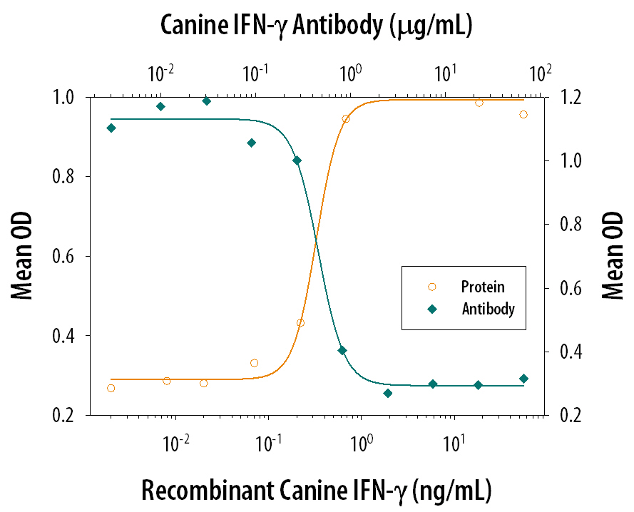 Recombinant Canine IFN-gamma (Catalog # 781-CG) reduces the Vesticular Stomatitis Virus (VSV)-induced cytopathy in the A-72 canine fibroma cell line in a dose-dependent manner (orange line), as measured by crystal violet staining. Inhibition of VSV activity elicited by Recombinant Canine IFN-gamma (1.5 ng/mL) is neutralized (green line) by increasing concentrations of Goat Anti-Canine IFN-gamma Antigen Affinity-purified Polyclonal Antibody (Catalog # AF781). The ND50 is typically 0.2-1 µg/mL.