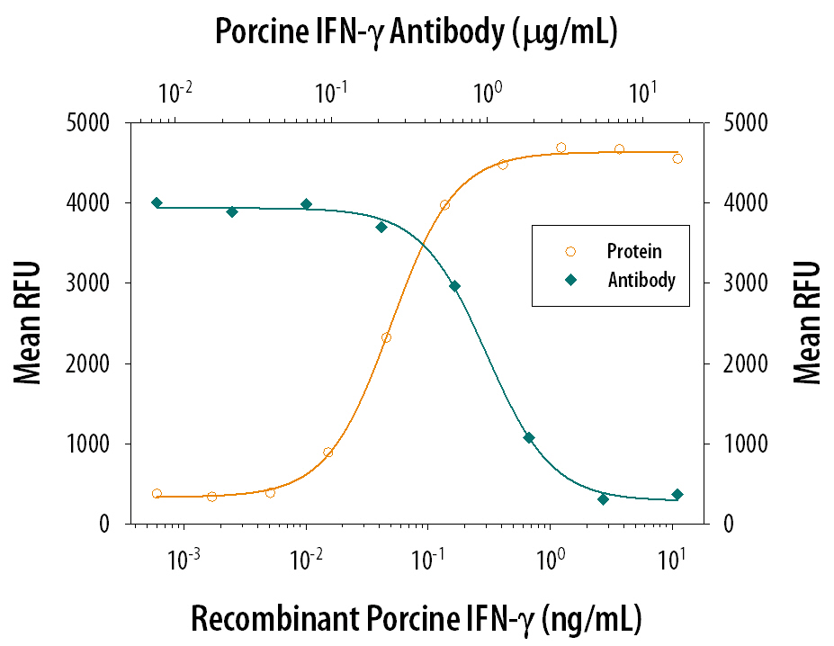 Recombinant Porcine IFN-gamma (985-PI) reduces the Encephalomyocarditis Virus (EMCV)-induced cytopathy in the PK-15 porcine kidney epithelial cell line in a dose-dependent manner (orange line), as measured by Resazurin (AR002). Inhibition of EMCV activity elicited by Recombinant Porcine IFN-gamma (0.2 ng/mL) is neutralized (green line) by increasing concentrations of Goat Anti-Porcine IFN-gamma Antigen Affinity-purified Polyclonal Antibody (Catalog # AF985). The ND50 is typically 0.6-3.0 µg/mL.