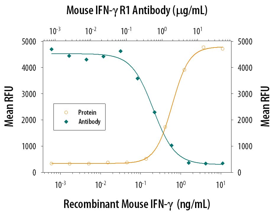 Recombinant Mouse IFN-gamma (Catalog # 485-MI) reduces the Encephalomyocarditis Virus (EMCV)-induced cytopathy in the L-929 mouse fibroblast cell line in a dose-dependent manner (orange line), as measured by Resazurin. Inhibition of EMCV activity elicited by Recombinant Mouse IFN-gamma (1 ng/mL) is neutralized (green line) by increasing concentrations of Goat Anti-Mouse IFN-gamma R1/CD119 Antigen Affinity-purified Polyclonal Antibody (Catalog # AF1026). The ND50 is typically 0.2-1 µg/mL.
